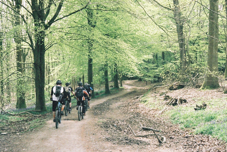 Back To The Kingdom - Image 20