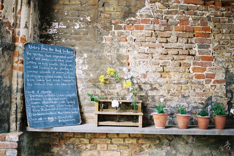 Back To The Kingdom - Image 29