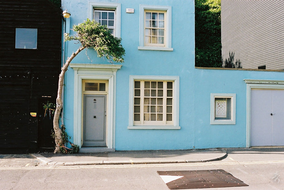 Back To The Kingdom - Image 33