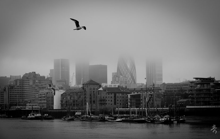 Back To The Kingdom - Image 46