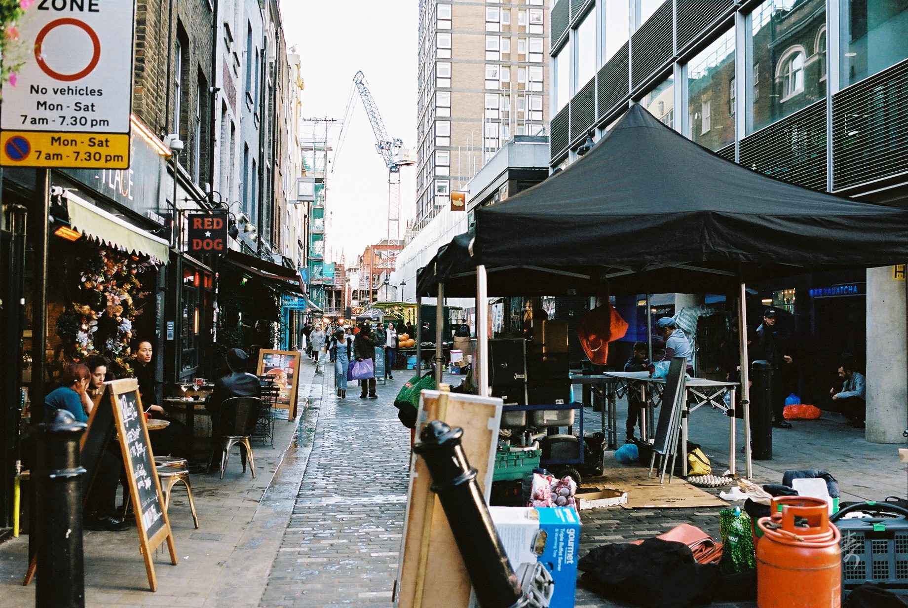 Back To The Kingdom - Image 69