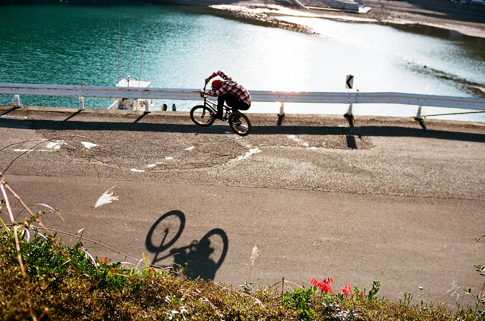 Bmx - Image 100