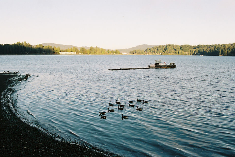 British Columbia - Image 31