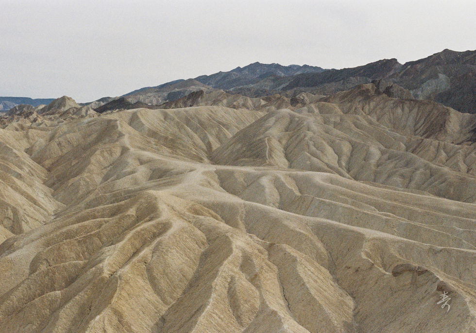 Converge2020 - Image 13