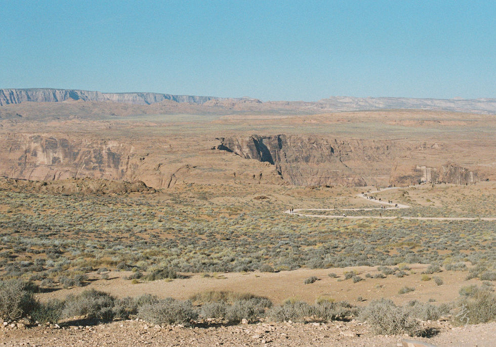 Converge2020 - Image 36