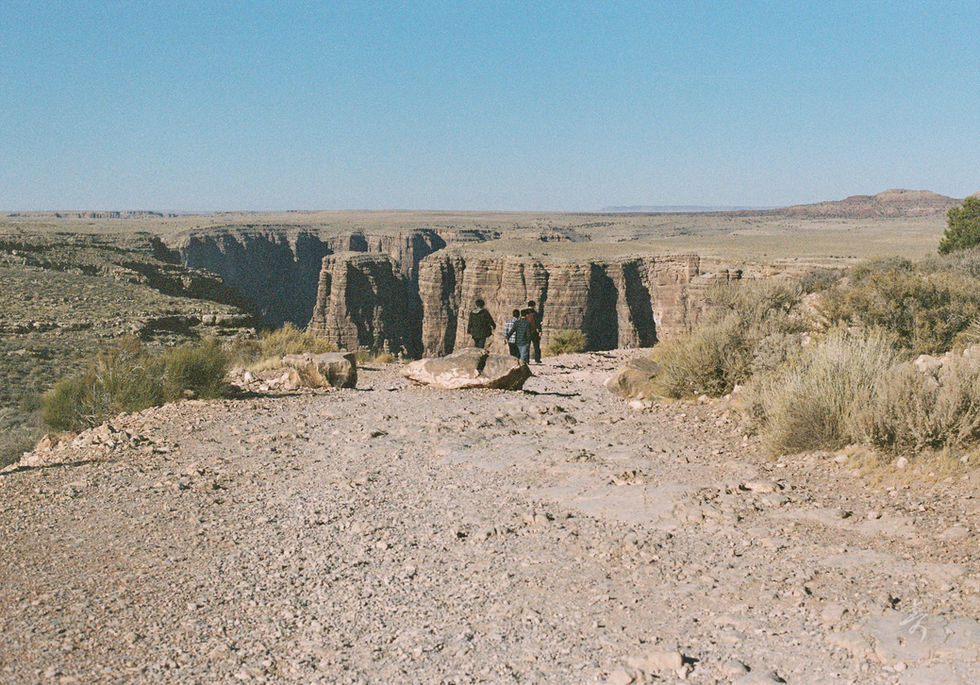 Converge2020 - Image 48