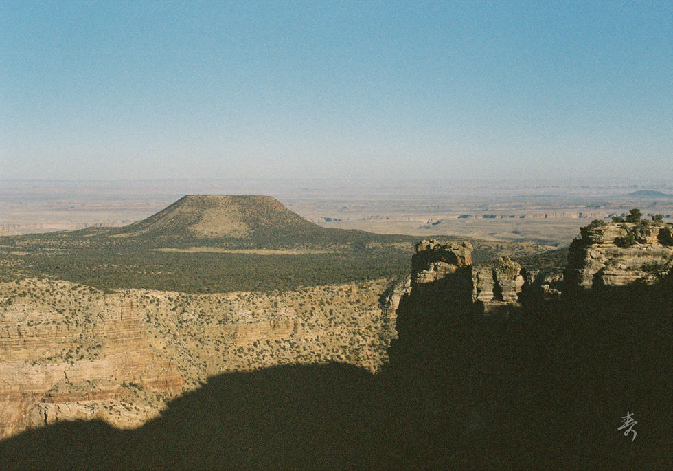 Converge2020 - Image 56