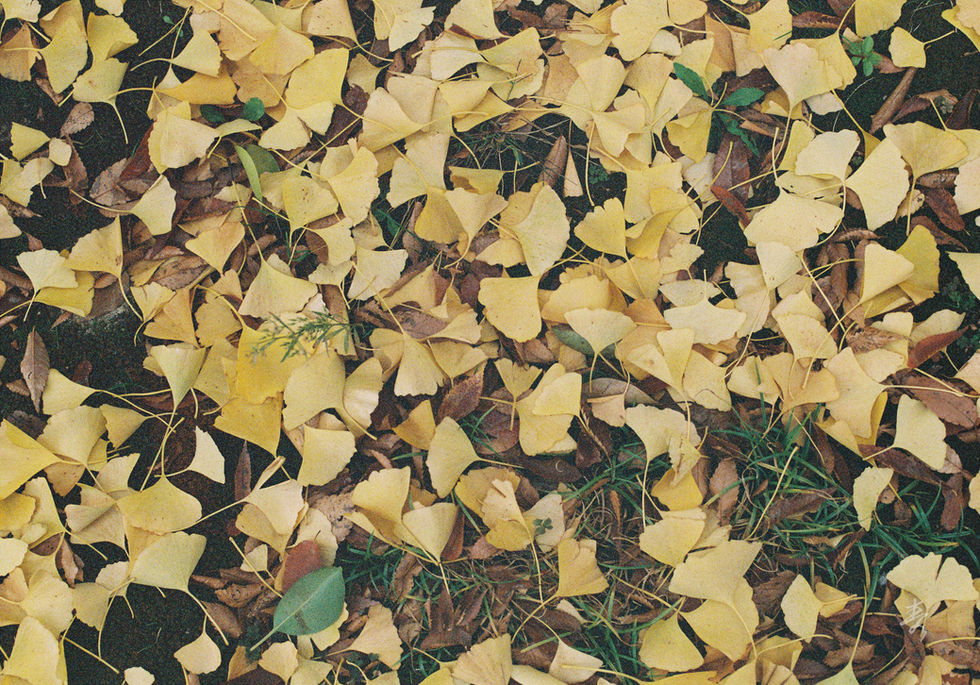 Converge2020 - Image 81