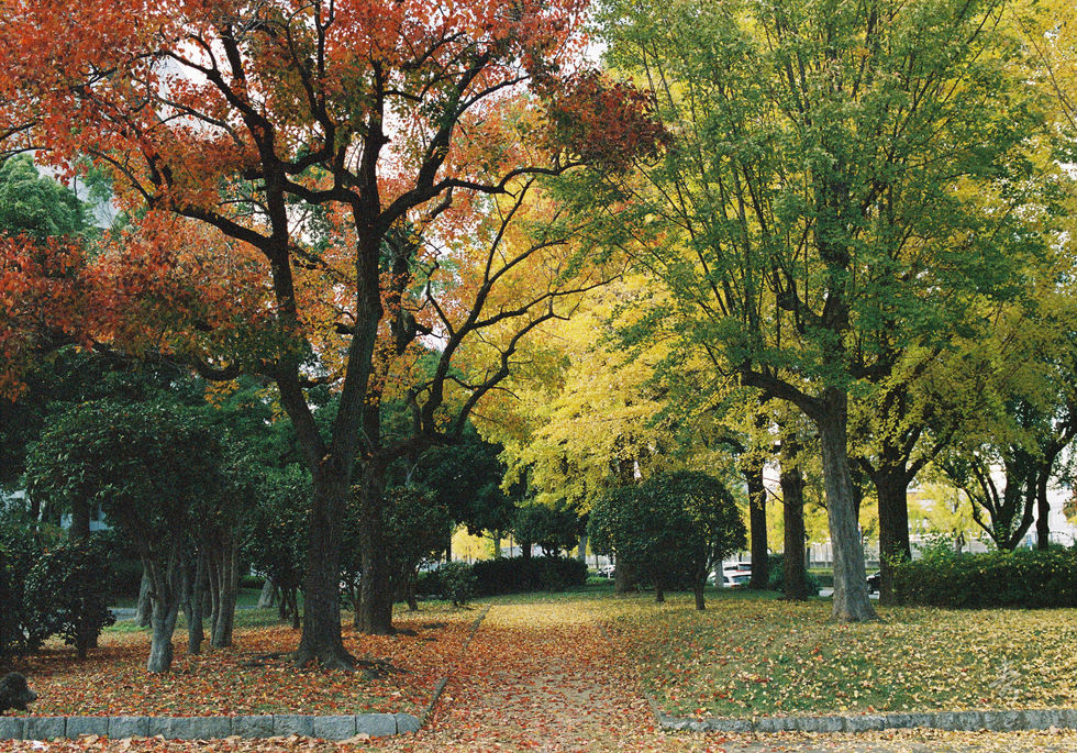 Converge2020 - Image 83