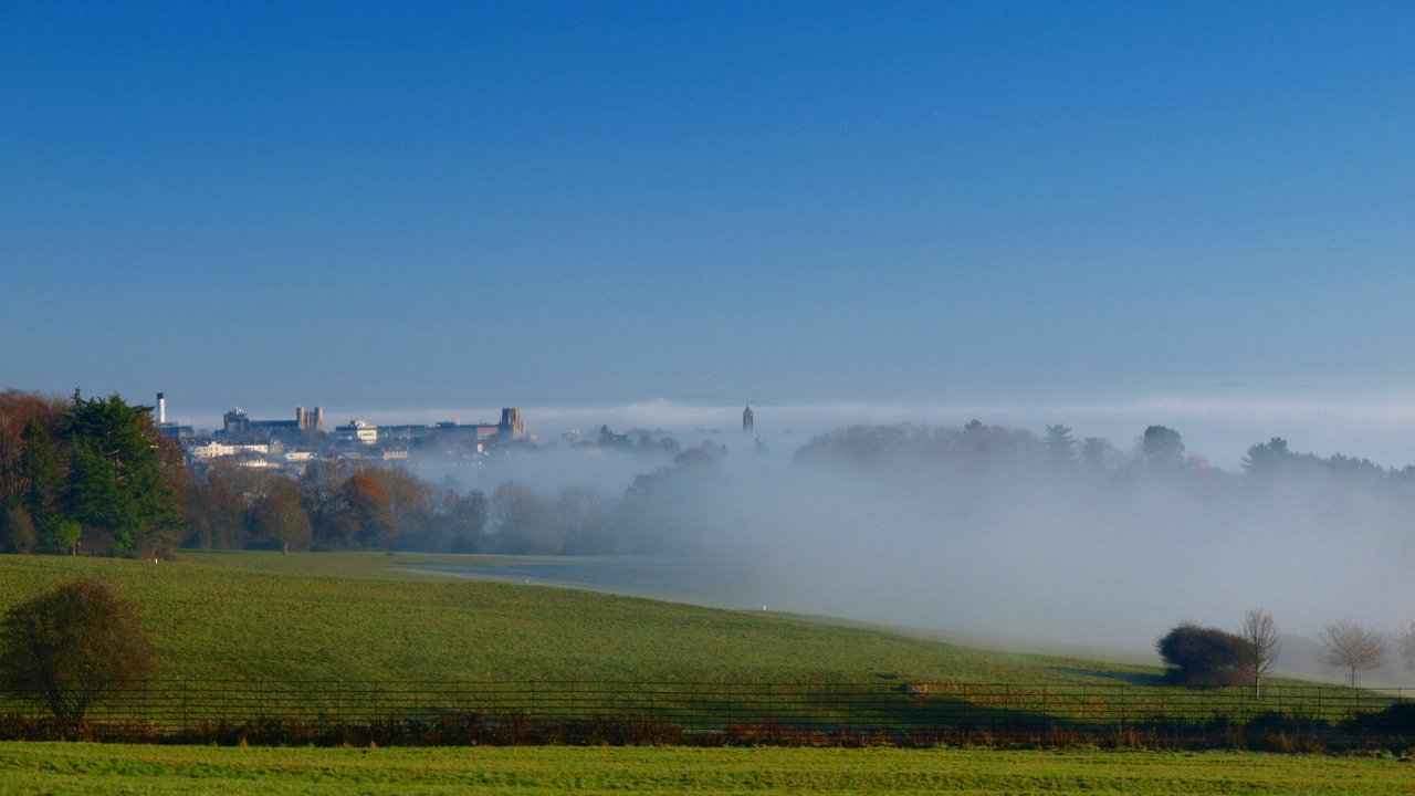 Dance With The Trails Depot - Image 8