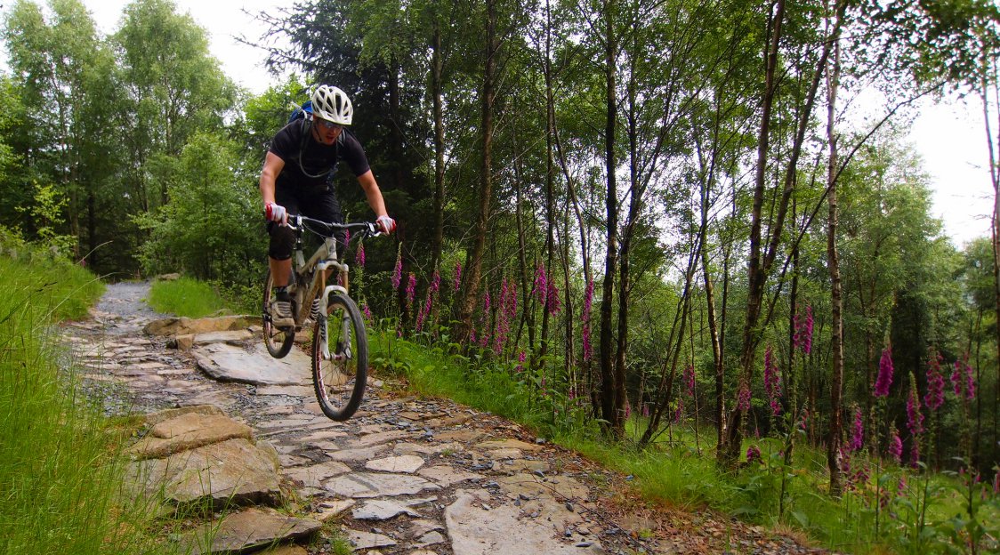 Dance With The Trails Depot - Image 10