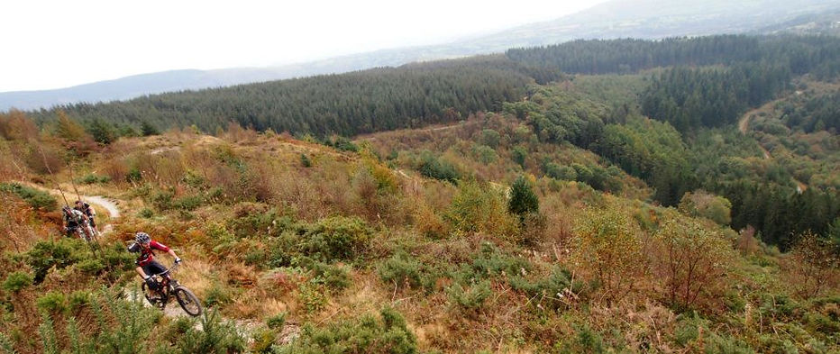 Dance With The Trails Depot - Image 14