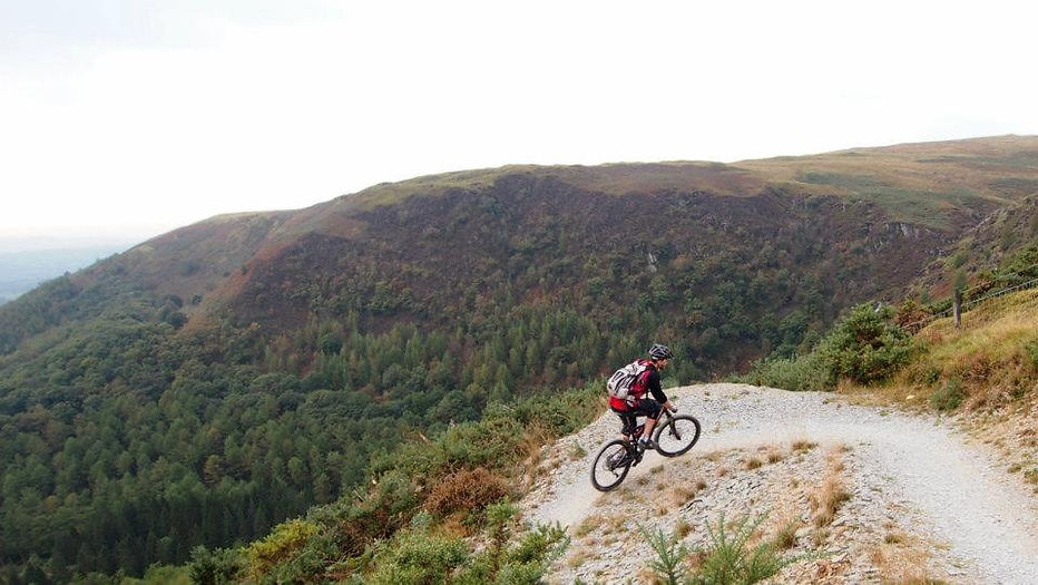 Dance With The Trails Depot - Image 15