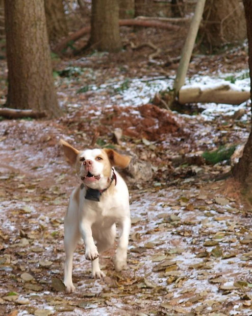 Dance With The Trails Depot - Image 27