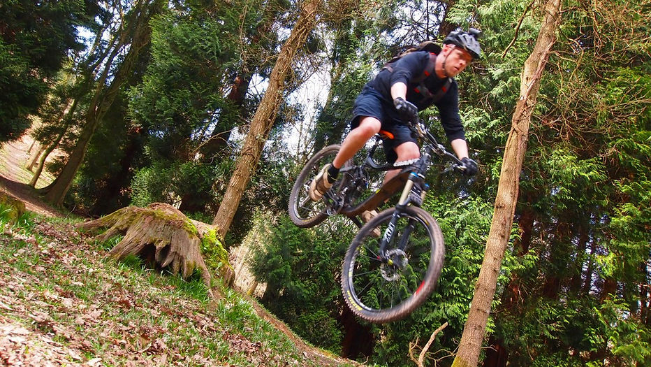 Dance With The Trails Depot - Image 28