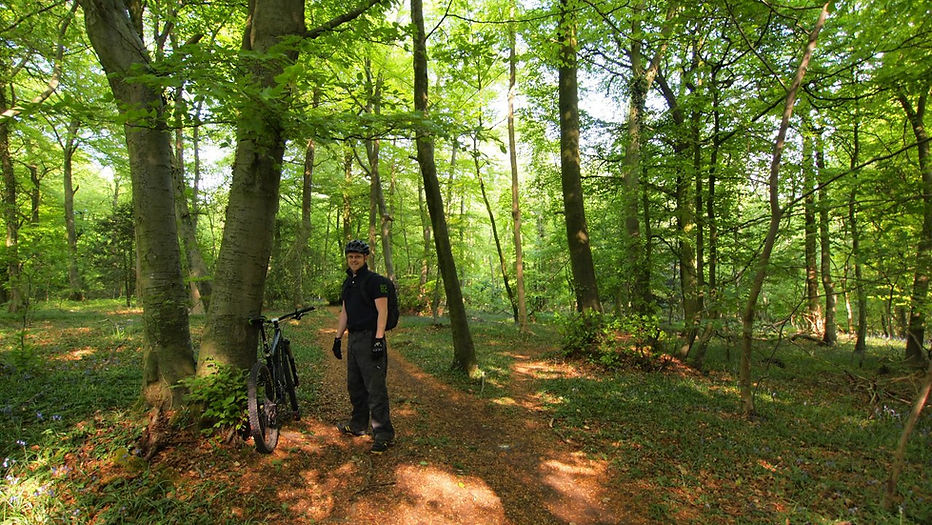 Dance With The Trails Depot - Image 31