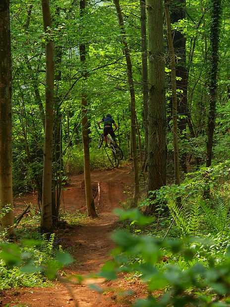 Dance With The Trails Depot - Image 33