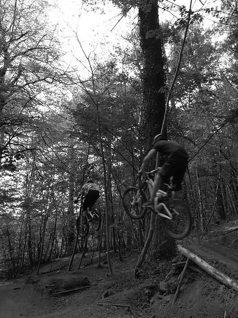 Dance With The Trails Depot - Image 34