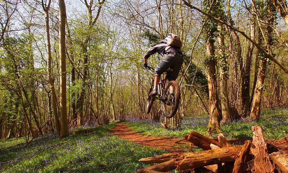 Dance With The Trails Depot - Image 41