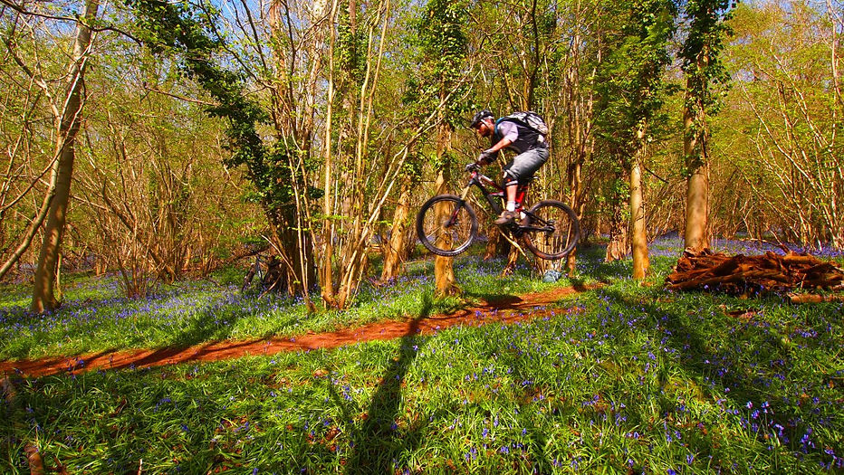 Dance With The Trails Depot - Image 44