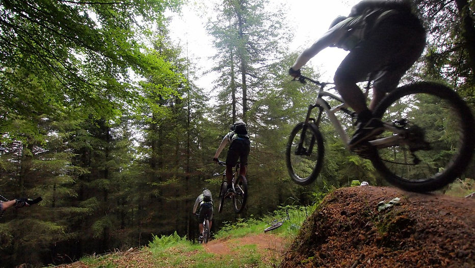 Dance With The Trails Depot - Image 52