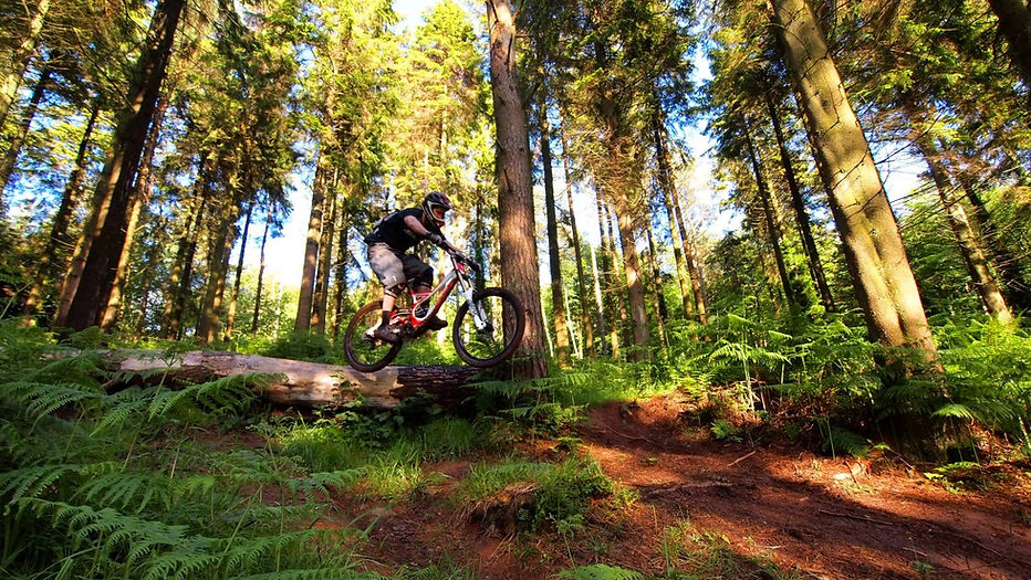 Dance With The Trails Depot - Image 58