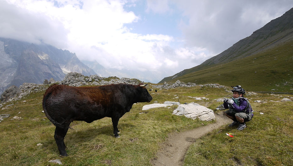 Dance With The Trails Depot - Image 70