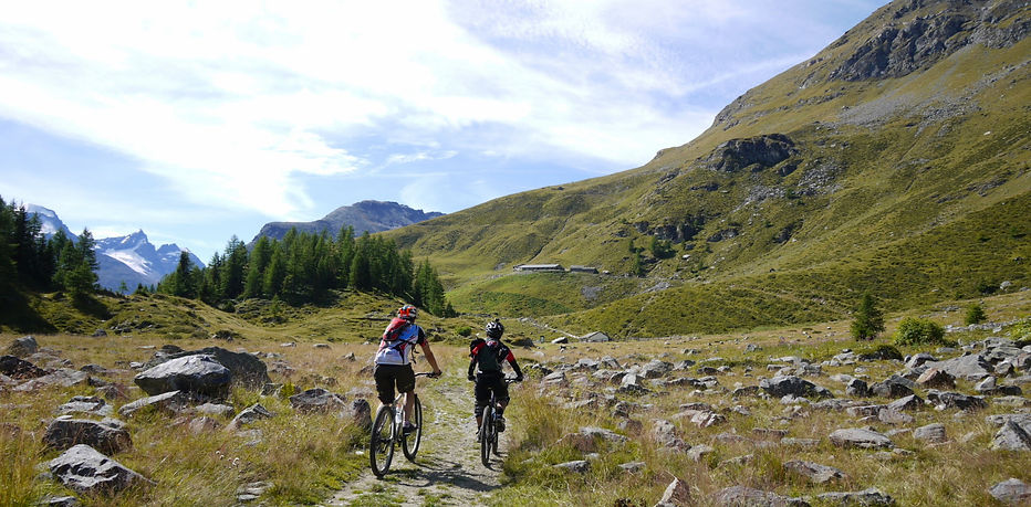 Dance With The Trails Depot - Image 78