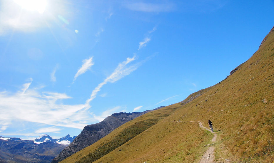 Dance With The Trails Depot - Image 80