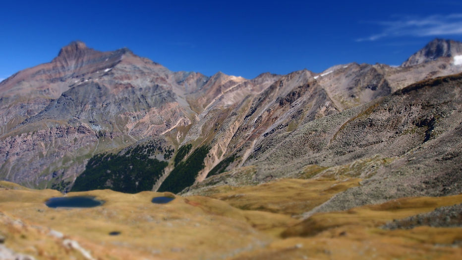 Dance With The Trails Depot - Image 83