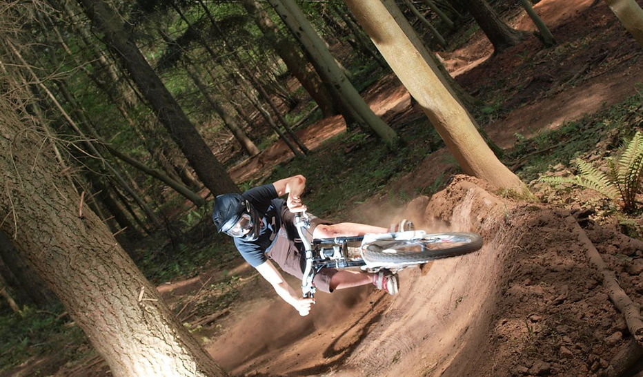 Dance With The Trails - Image 15