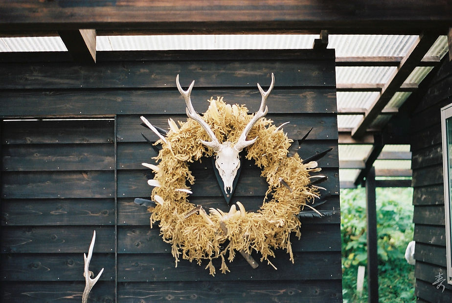 Dance With The Trails - Image 19