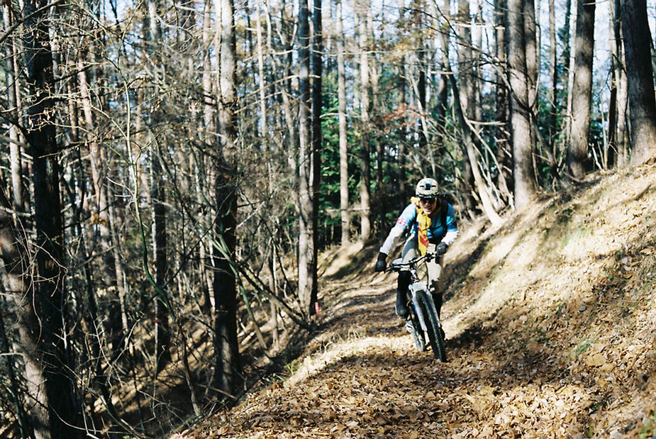 Dance With The Trails - Image 22