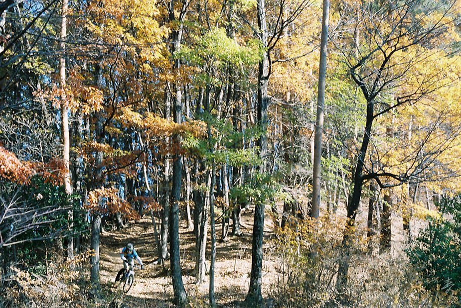 Dance With The Trails - Image 23