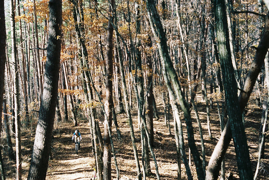 Dance With The Trails - Image 27