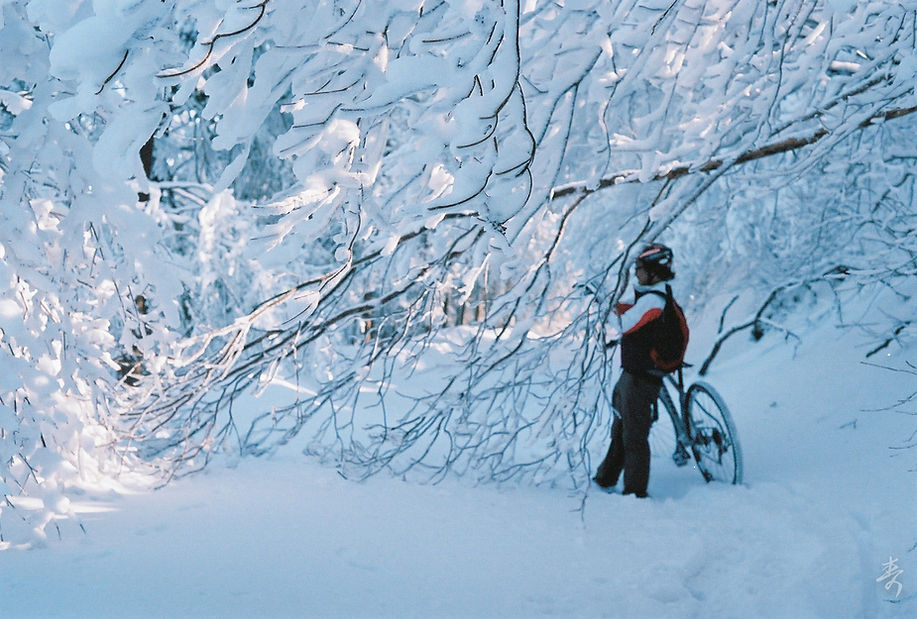 Dance With The Trails - Image 31