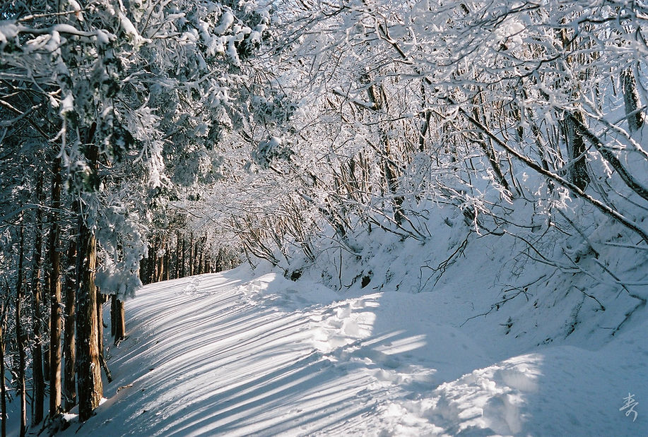 Dance With The Trails - Image 32