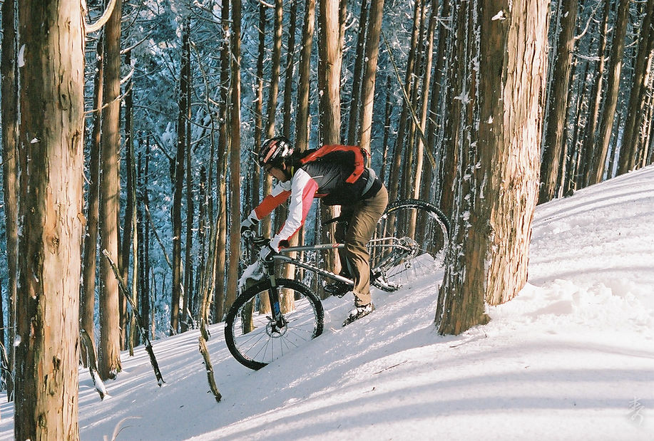 Dance With The Trails - Image 33