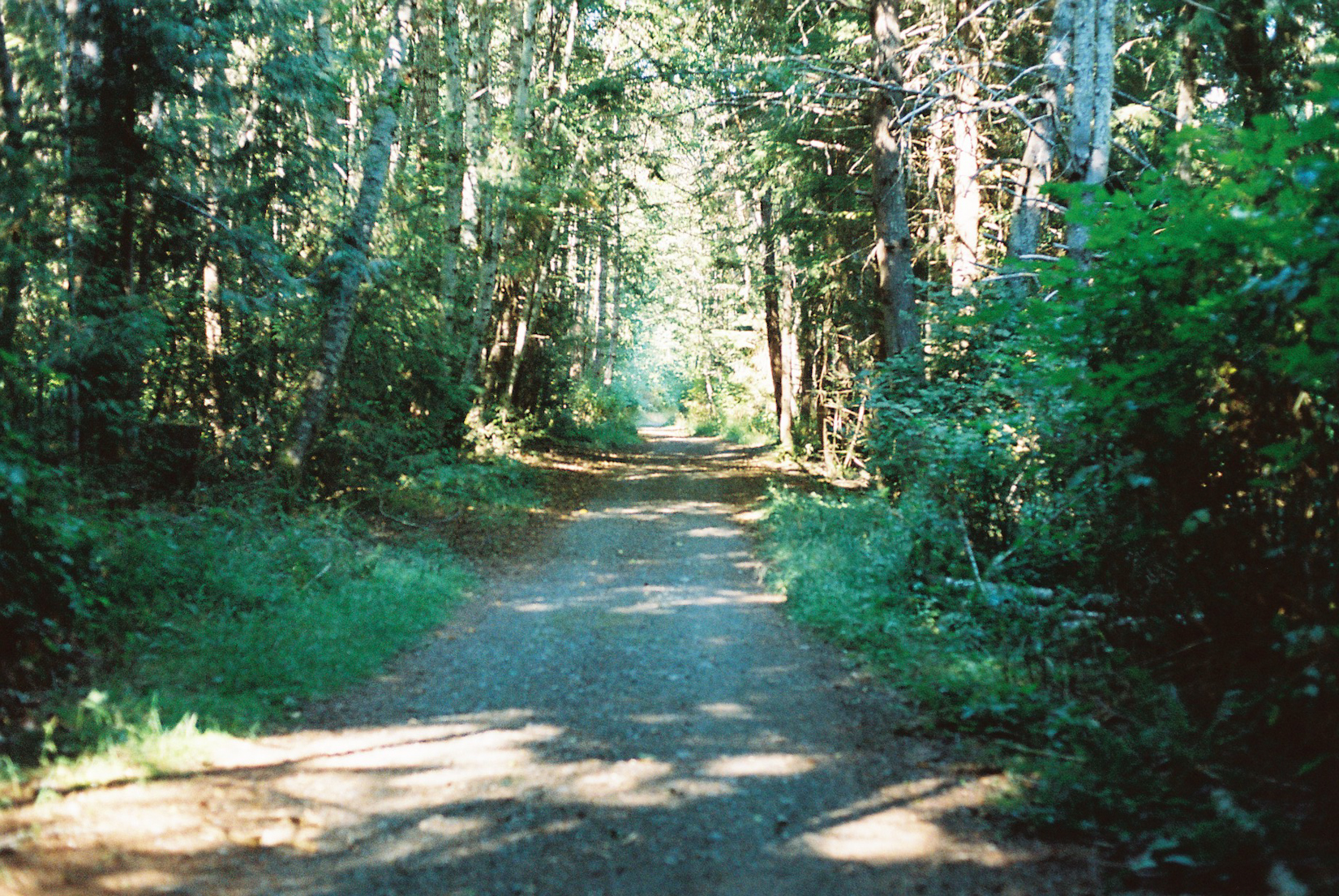 Dance With The Trails - Image 42