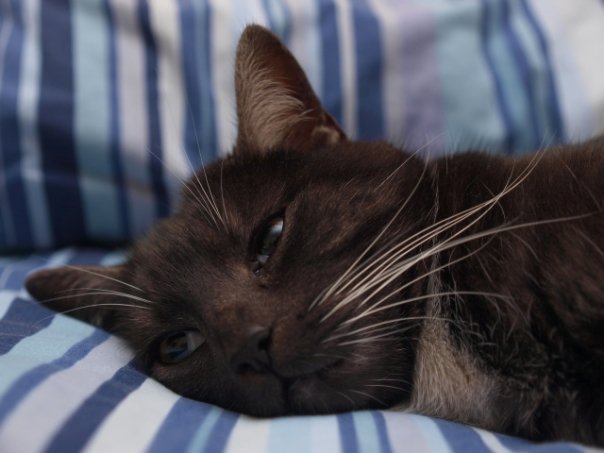 Portrait Digital - Image 23