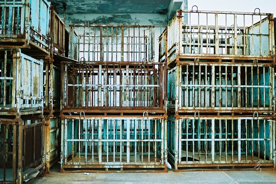 Scent Of Japan Kumano - Image 35