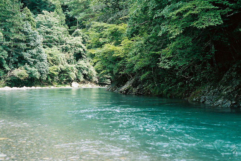 Scent Of Japan Kumano - Image 23