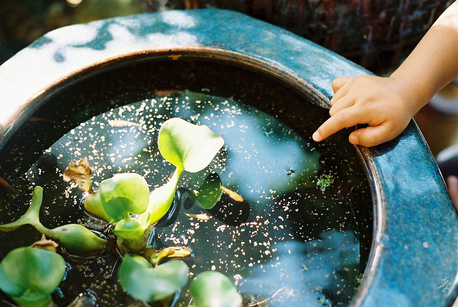 Scent Of Japan Kumano - Image 24