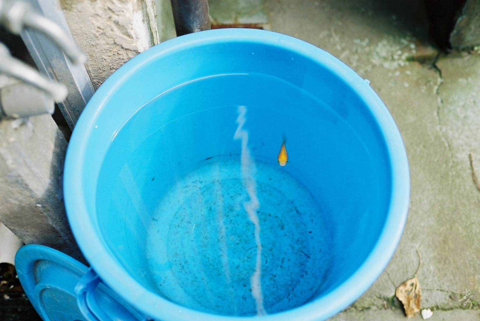 Scent Of Japan - Image 10