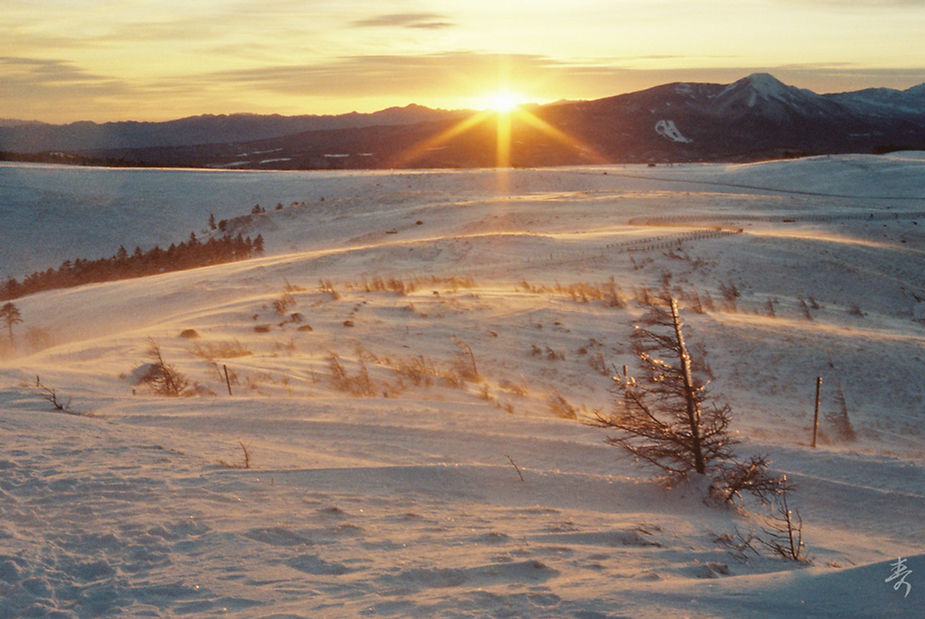 Scent Of Japan - Image 27