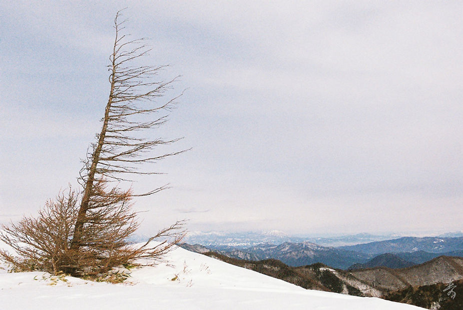 Scent Of Japan - Image 35