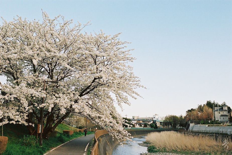 Scent Of Japan - Image 39