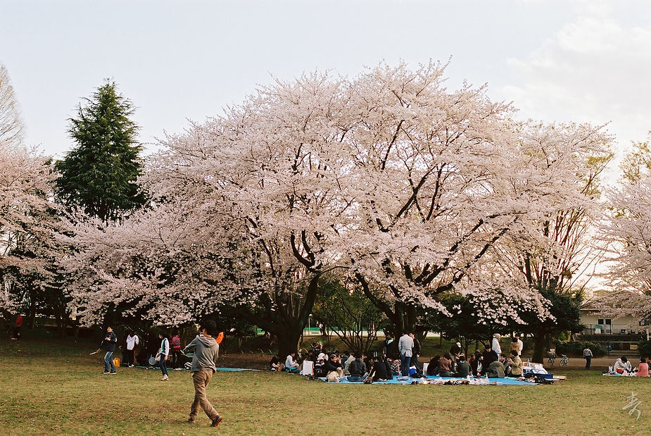 Scent Of Japan - Image 40
