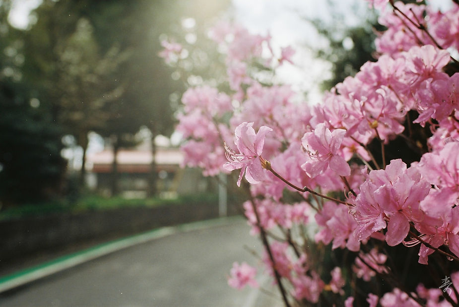 Scent Of Japan - Image 42