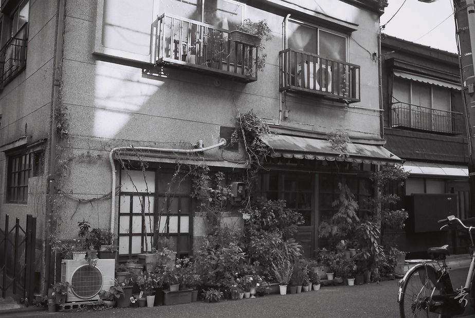 Scent Of Japan - Image 51